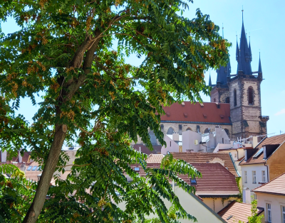 Tyn Temple-the best view,top location, balcony